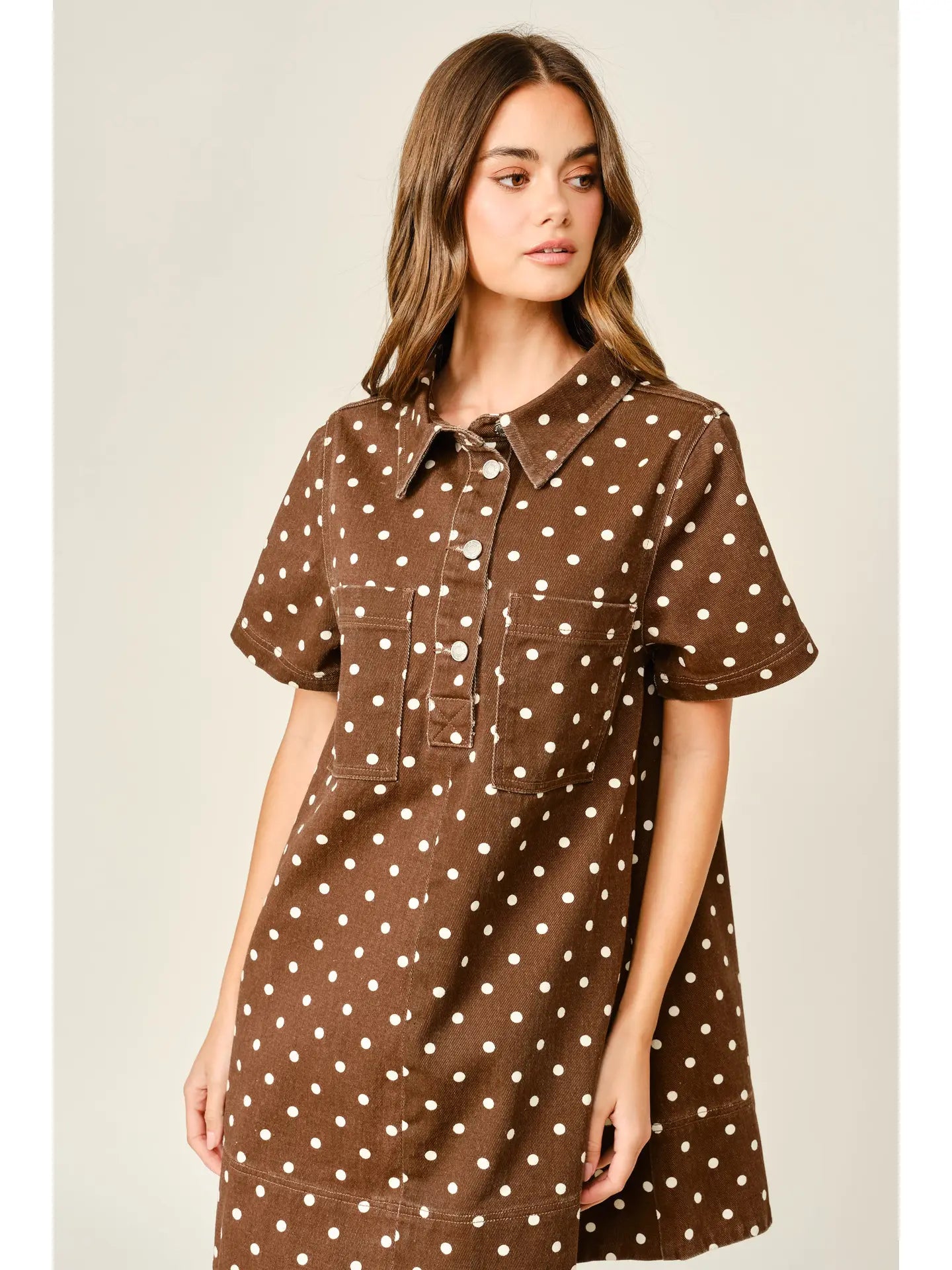 Cocoa Dot Dress